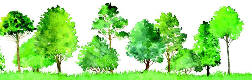 Foret Foret