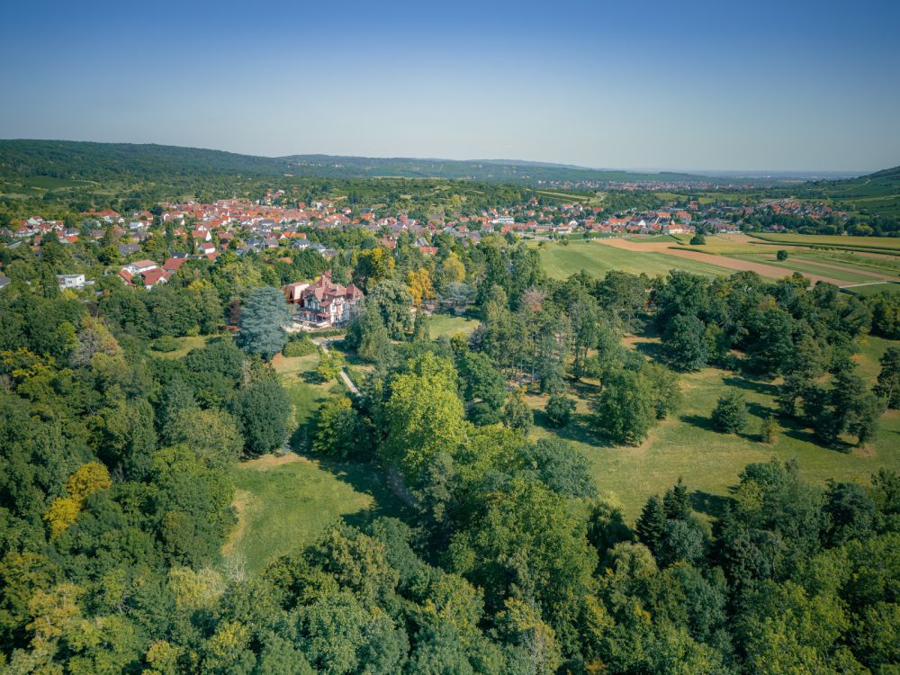 Le Domaine de la Léonardsau ©Jérémy Koller Le Domaine de la Léonardsau ©Jérémy Koller